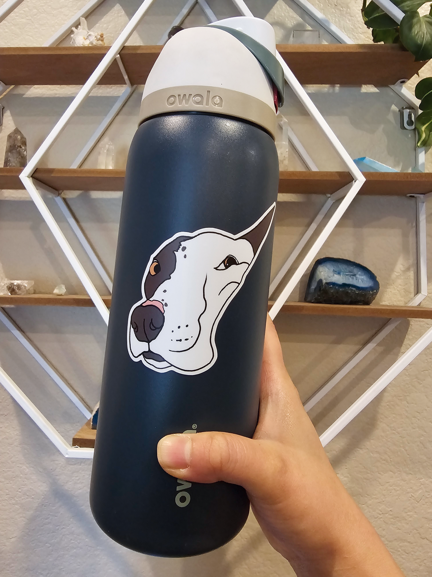 Meet My Dog: Norris | Sticker